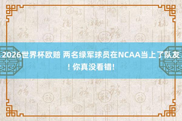 2026世界杯欧赔 两名绿军球员在NCAA当上了队友! 你真没看错!