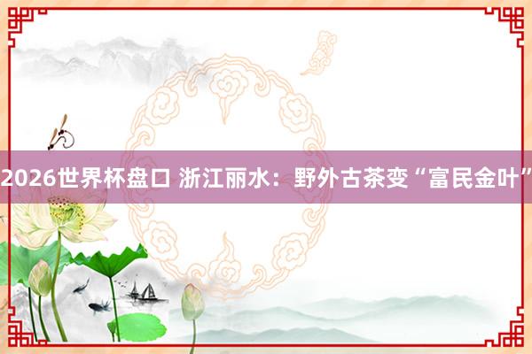 2026世界杯盘口 浙江丽水：野外古茶变“富民金叶”