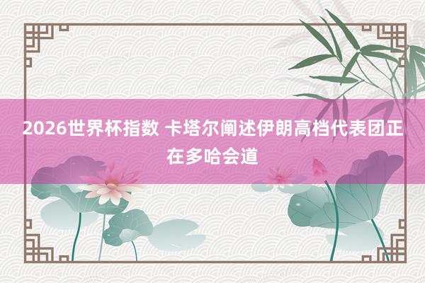 2026世界杯指数 卡塔尔阐述伊朗高档代表团正在多哈会道
