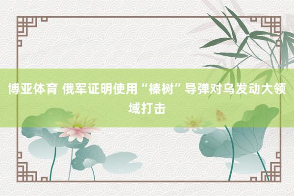 博亚体育 俄军证明使用“榛树”导弹对乌发动大领域打击