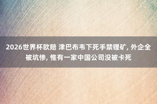 2026世界杯欧赔 津巴布韦下死手禁锂矿， 外企全被坑惨， 惟有一家中国公司没被卡死