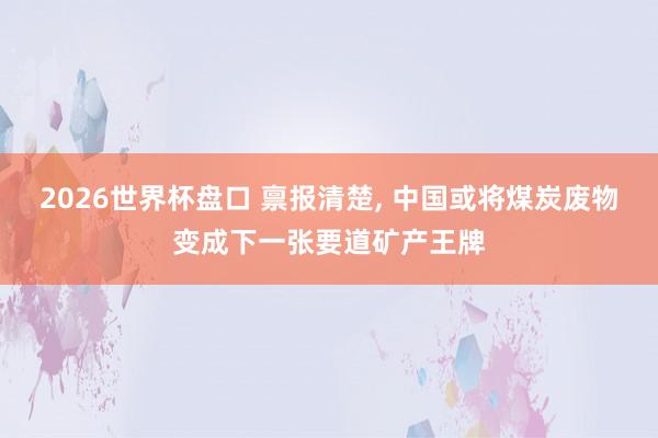 2026世界杯盘口 禀报清楚， 中国或将煤炭废物变成下一张要道矿产王牌