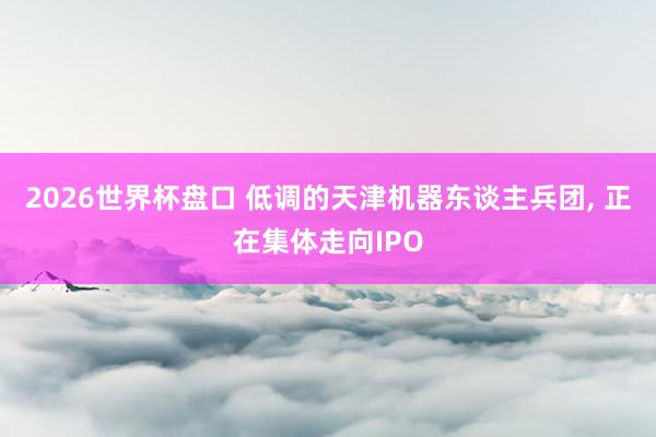 2026世界杯盘口 低调的天津机器东谈主兵团， 正在集体走向IPO