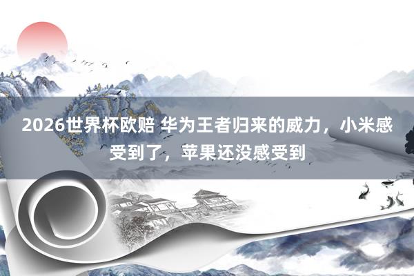 2026世界杯欧赔 华为王者归来的威力，小米感受到了，苹果还没感受到