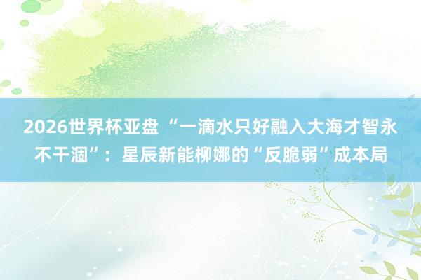 2026世界杯亚盘 “一滴水只好融入大海才智永不干涸”：星辰新能柳娜的“反脆弱”成本局