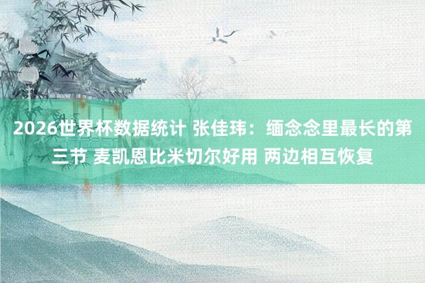 2026世界杯数据统计 张佳玮:缅念念里最长的第三节 麦凯恩比米切尔好用 两边相互恢复