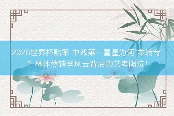 2026世界杯赔率 中戏第一童星为何‘本转专’？林沐然转学风云背后的艺考陨泣！