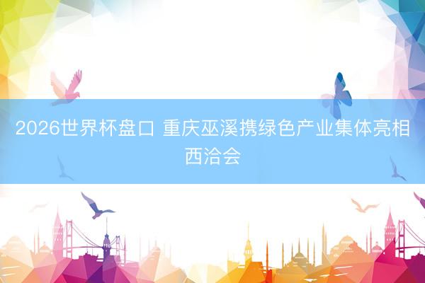 2026世界杯盘口 重庆巫溪携绿色产业集体亮相西洽会