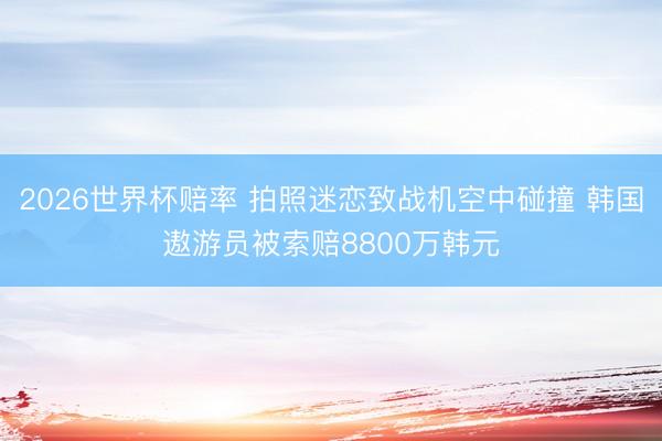 2026世界杯赔率 拍照迷恋致战机空中碰撞 韩国遨游员被索赔8800万韩元