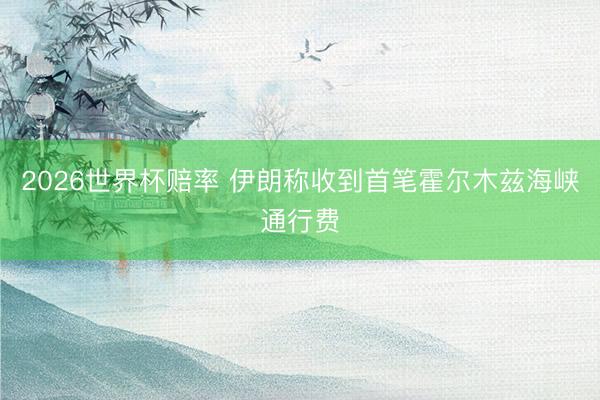 2026世界杯赔率 伊朗称收到首笔霍尔木兹海峡通行费