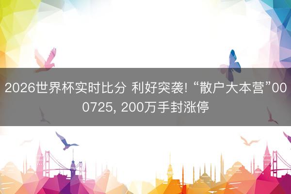 2026世界杯实时比分 利好突袭! “散户大本营”000725, 200万手封涨停