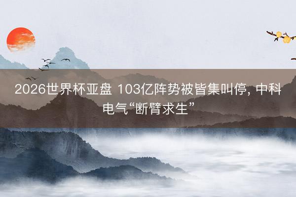 2026世界杯亚盘 103亿阵势被皆集叫停， 中科电气“断臂求生”