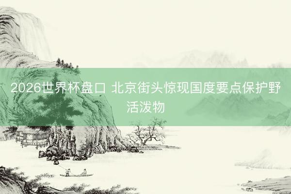 2026世界杯盘口 北京街头惊现国度要点保护野活泼物