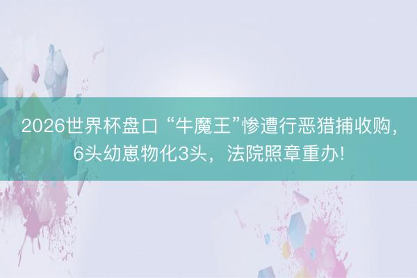 2026世界杯盘口 “牛魔王”惨遭行恶猎捕收购,6头幼崽物化3头,法院照章重办!