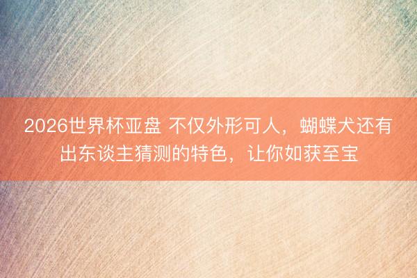 2026世界杯亚盘 不仅外形可人,蝴蝶犬还有出东谈主猜测的特色,让你如获至宝