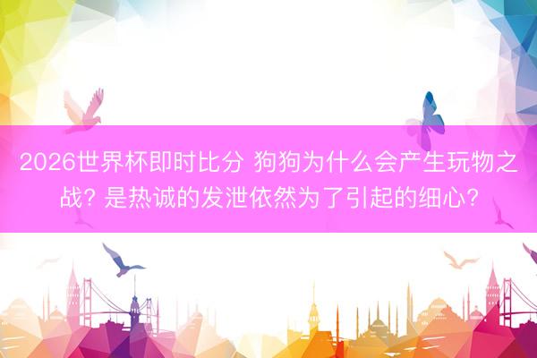 2026世界杯即时比分 狗狗为什么会产生玩物之战? 是热诚的发泄依然为了引起的细心?